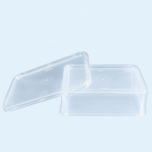 Hộp nhựa vuông 650ml (Bộ) – nội địa